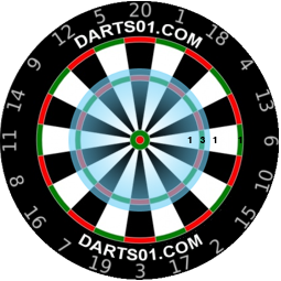 Darts501 Dartboard 180 around the clock